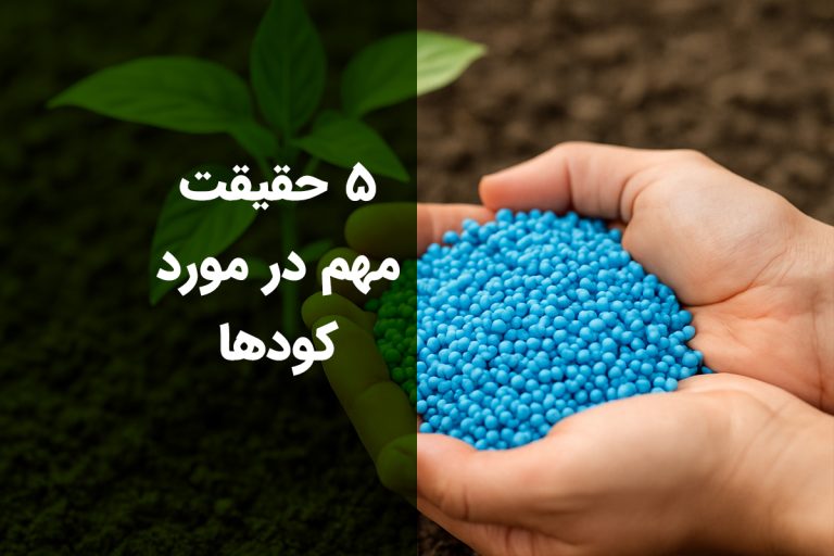 5 حقیقت مهم در مورد کودها