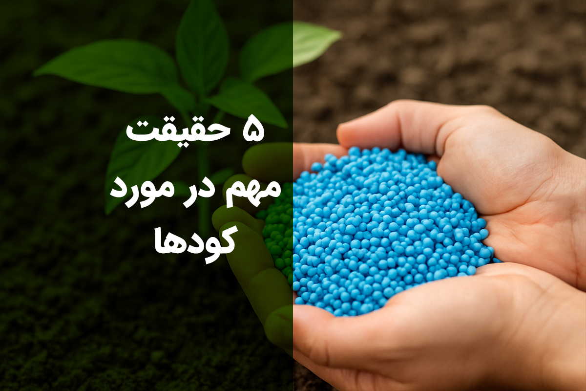 5 حقیقت مهم در مورد کودها