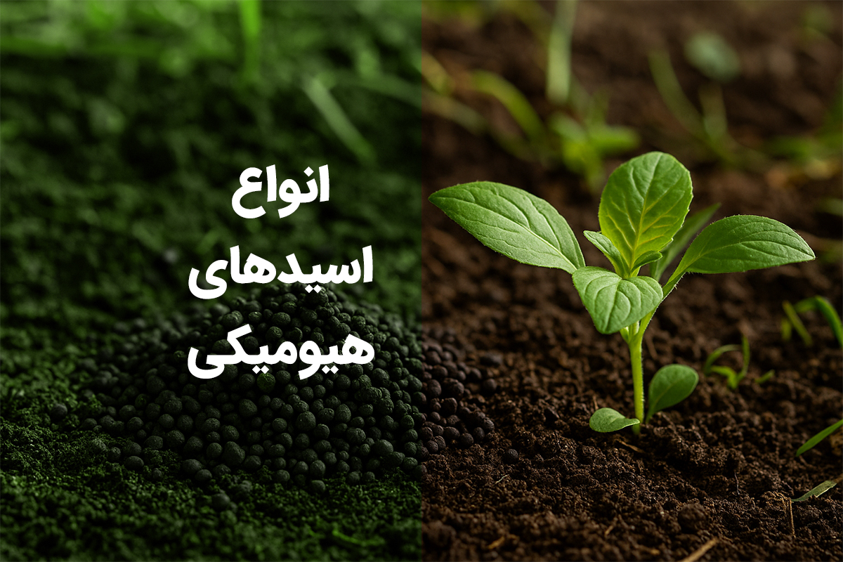 انواع اسیدهای هیومیکی