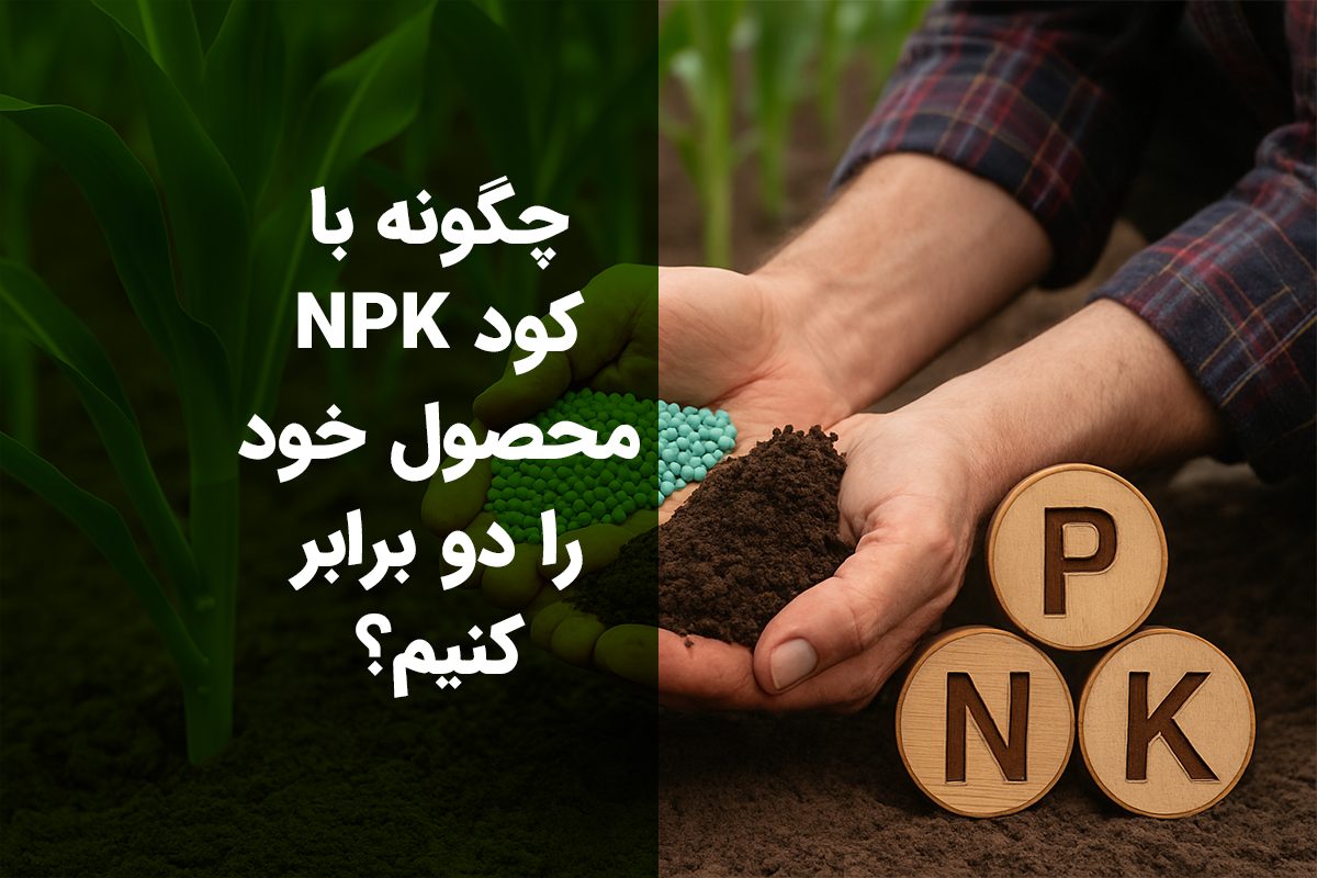 چگونه با کود NPK محصول خود را دو برابر کنیم؟