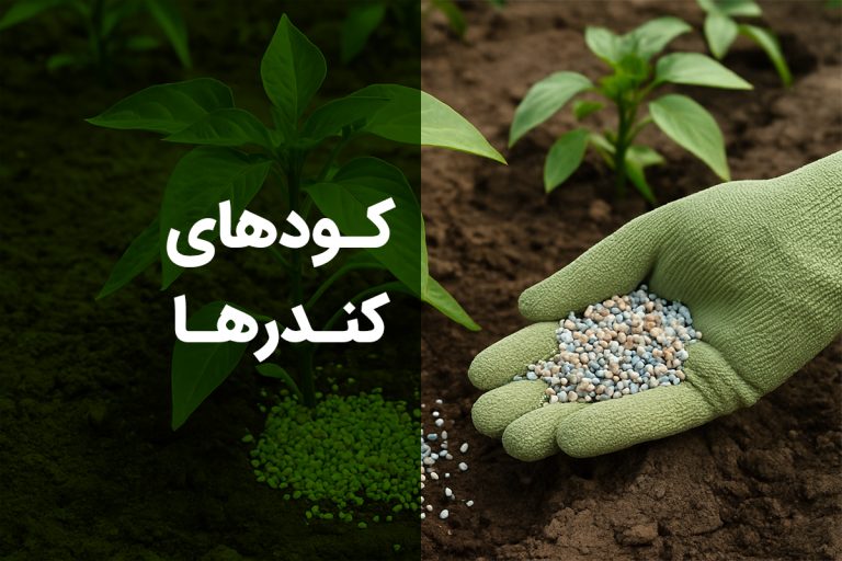 کودهای کندرها